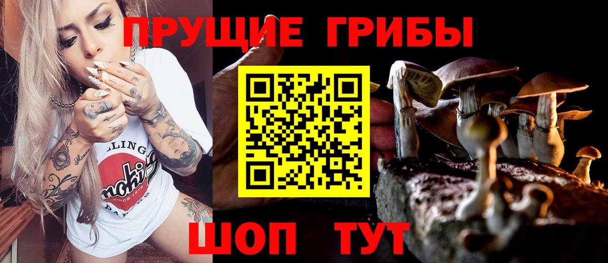 Галлюциногенные грибы прущие грибы  Вход с VPN  Вичуга 